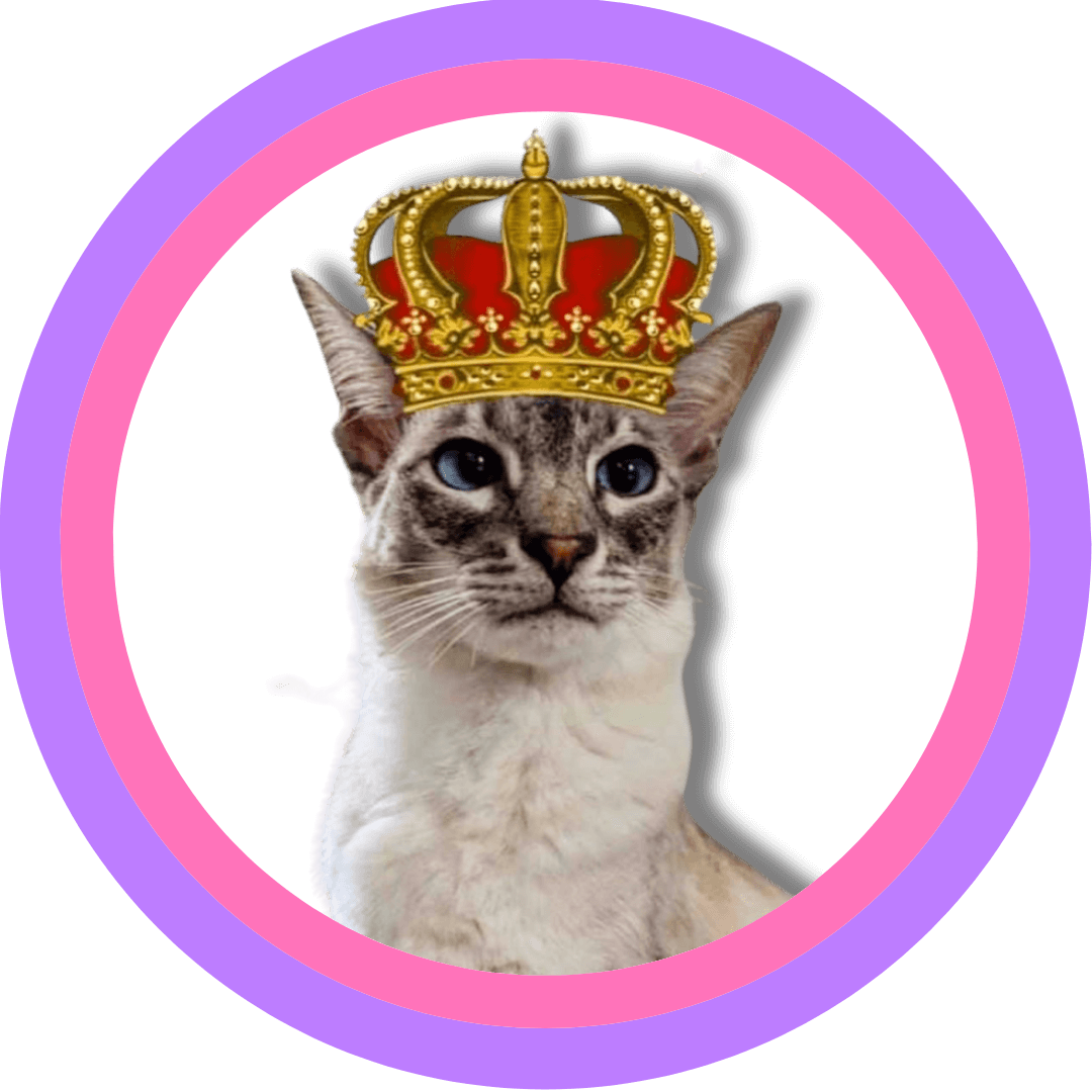 Silver the cat in a pink and purple circular frame